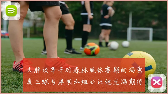 文胖谈华子对森林狼休赛期的满意度三球与库明加组合让他充满期待